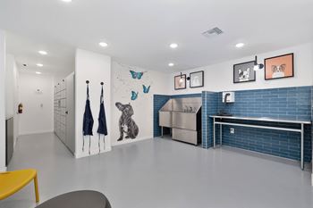 Pet spa